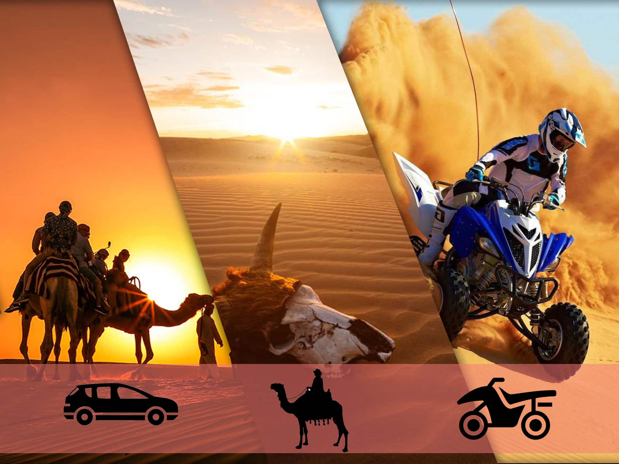 Desert Safari Abu Dhabi Activities